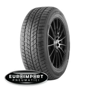 Double star WINTERKING DW09 XL BSW M+S 3PMSF 255/50 R20 109 H XL